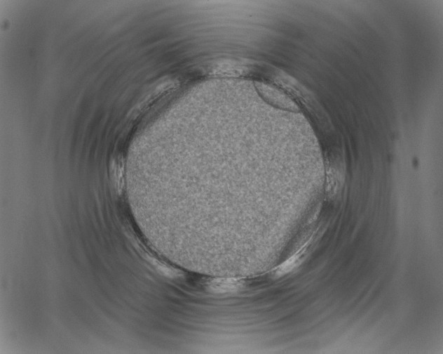 X0000062140142200601060933