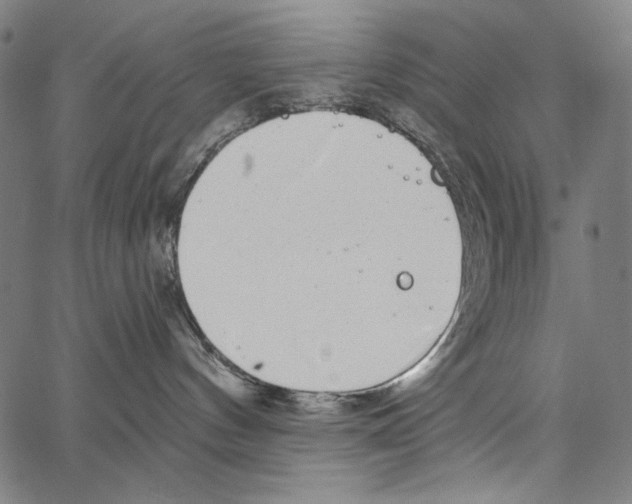 X0000062140144200601060933