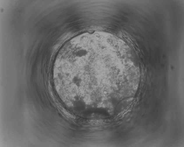 X0000062140145200601060932