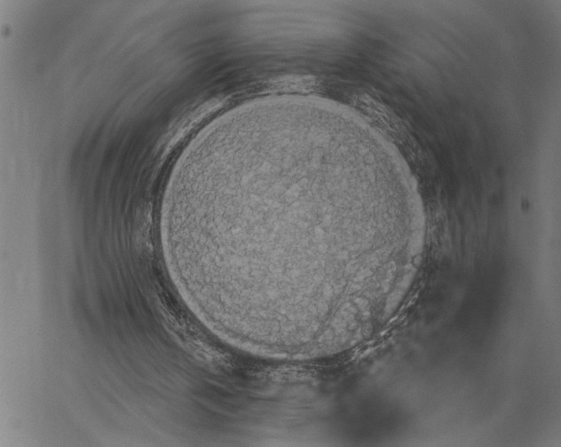 X0000062140146200601060932