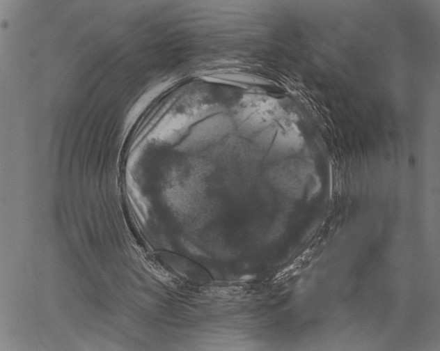 X0000062140147200601060932