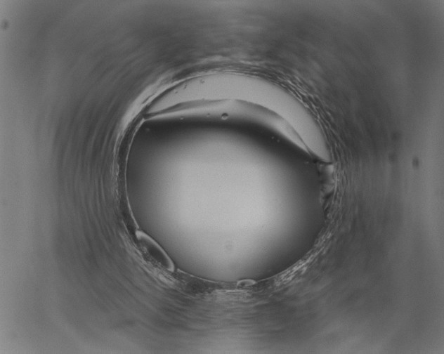 X0000062140150200601060932