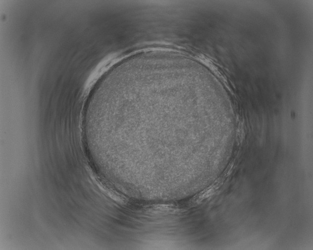 X0000062140151200601060932