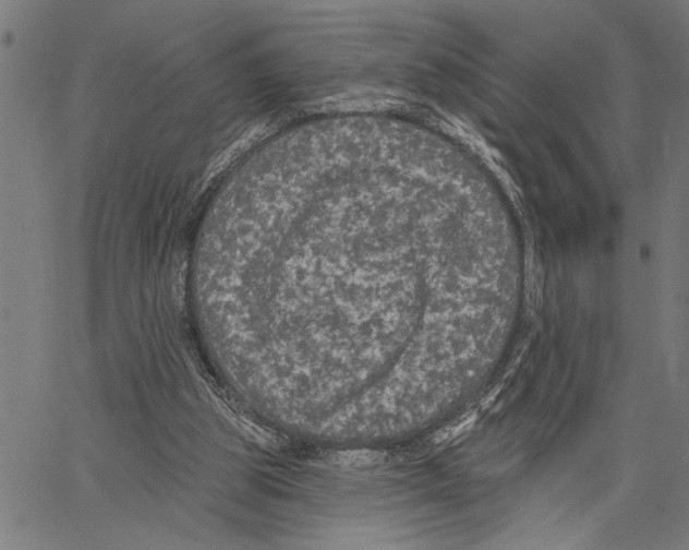 X0000062140153200601060932