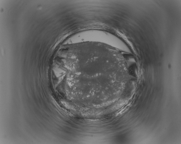 X0000062140154200601060932