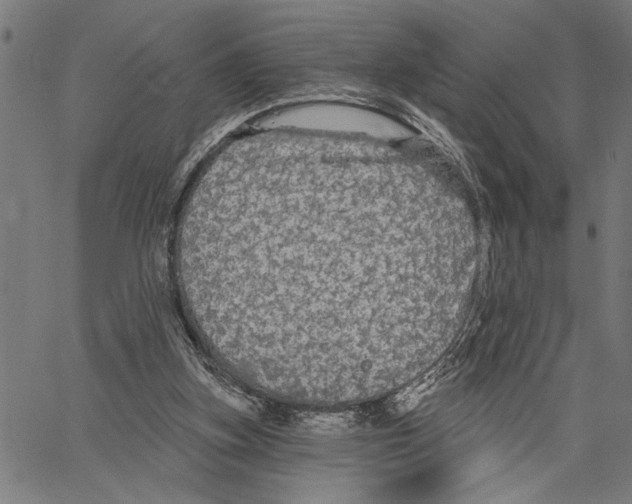 X0000062140155200601060932