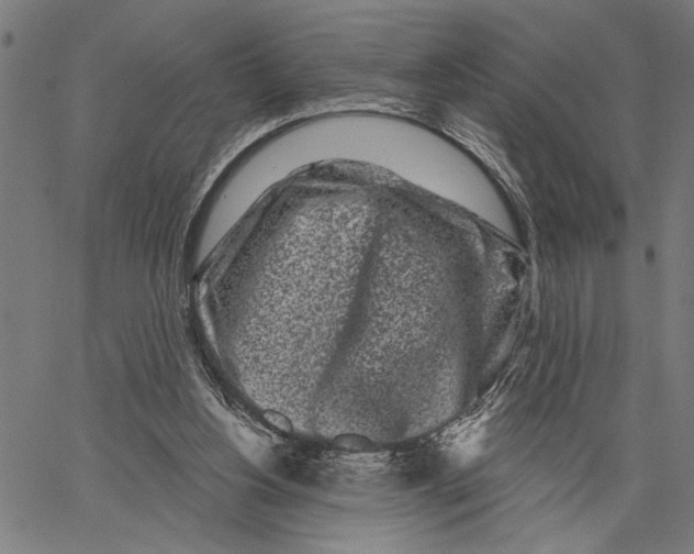 X0000062140156200601060932