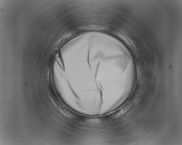 X0000062140157200601060932