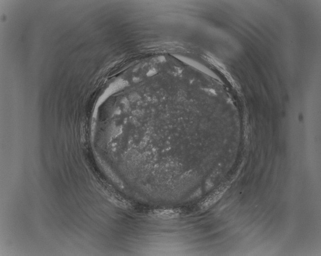 X0000062140161200601060932