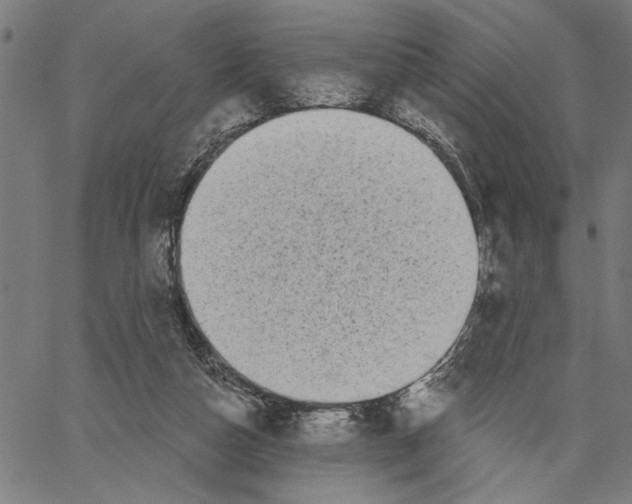 X0000062140162200601060932