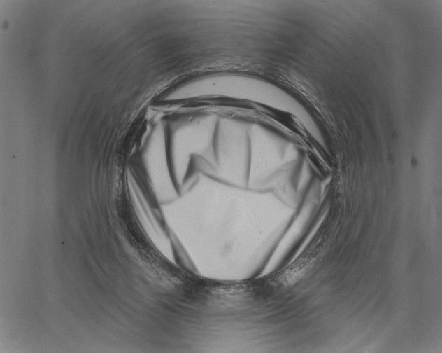 X0000062140164200601060932