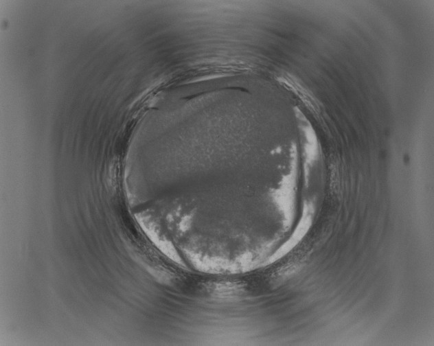 X0000062140165200601060932