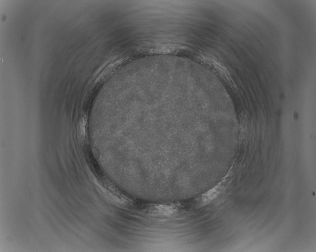 X0000062140166200601060932