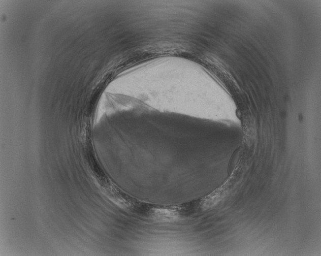 X0000062140167200601060932