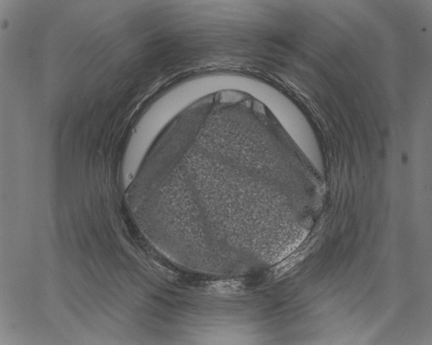 X0000062140168200601060932