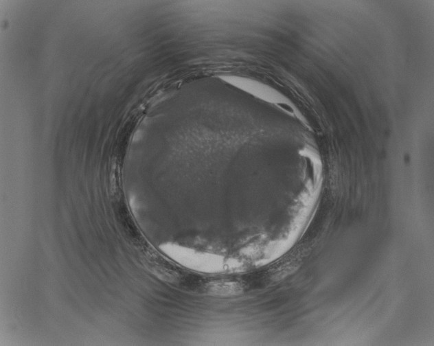 X0000062140169200601060932