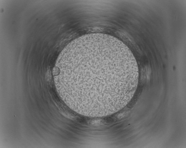 X0000062140173200601060932