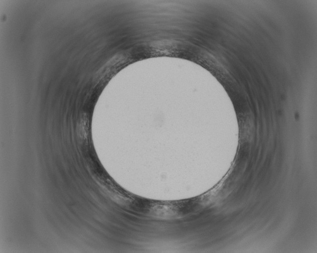 X0000062140174200601060932