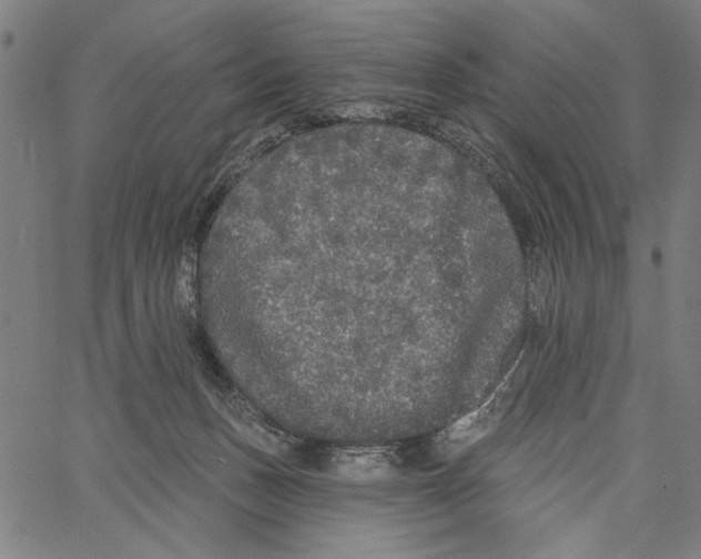 X0000062140175200601060932