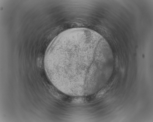 X0000062140177200601060932