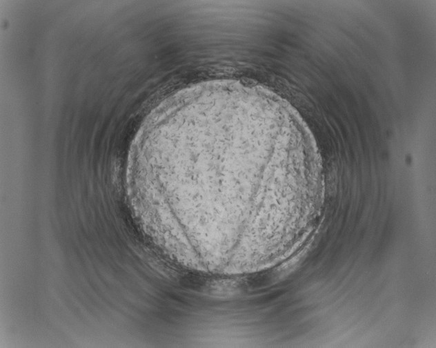 X0000062140178200601060932