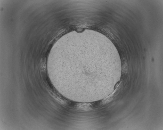 X0000062140179200601060932