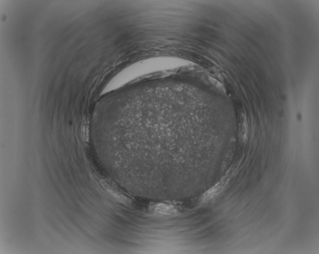 X0000062140180200601060932