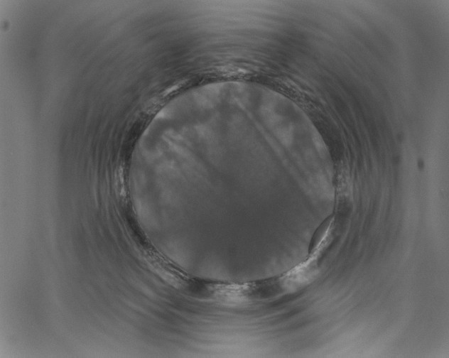 X0000062140182200601060932