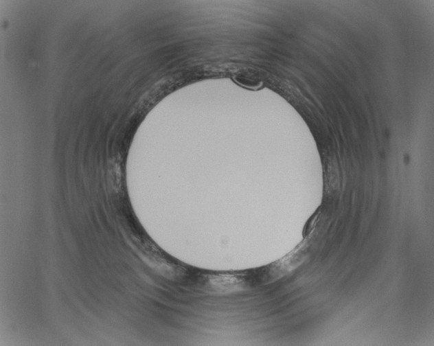 X0000062140183200601060932