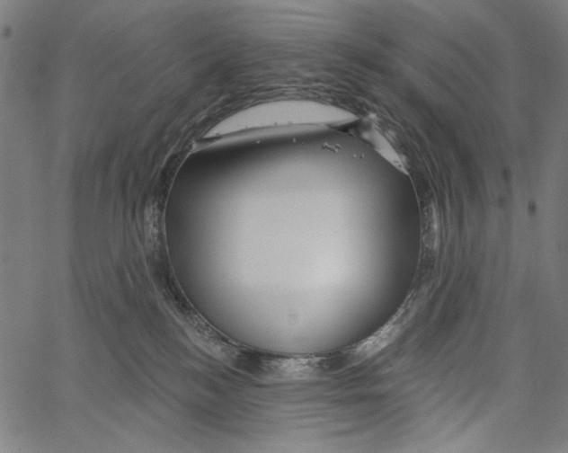 X0000062140184200601060932