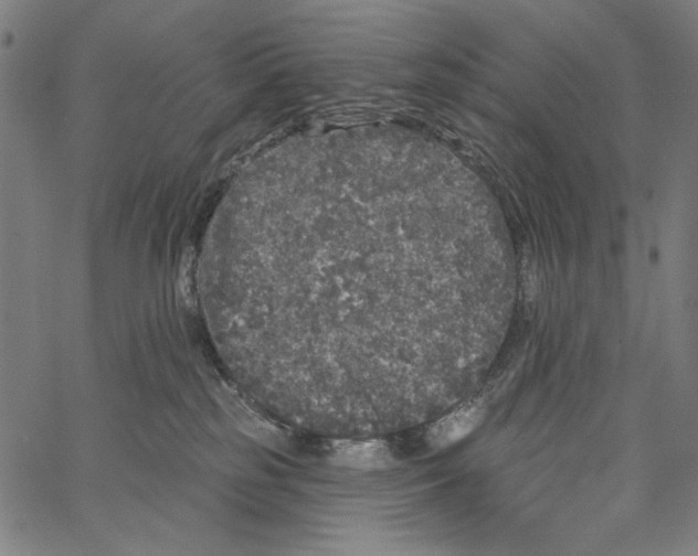 X0000062140185200601060932