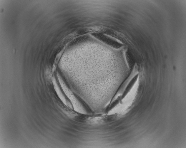 X0000062140186200601060932