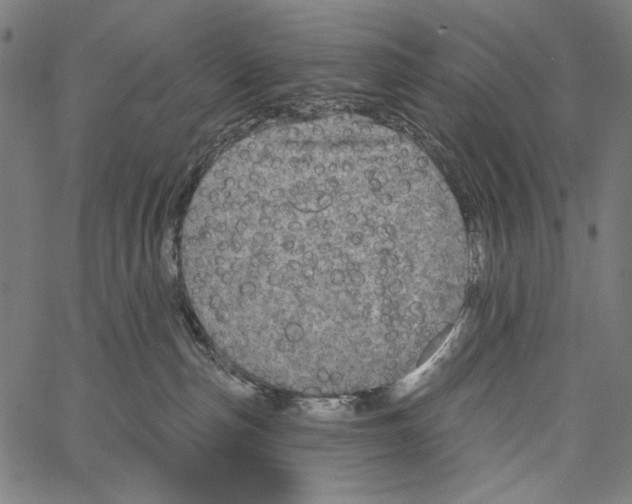 X0000062140187200601060933