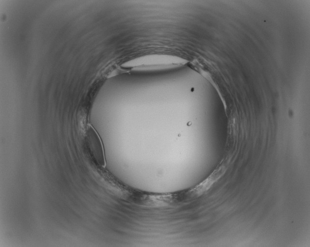 X0000062140188200601060933