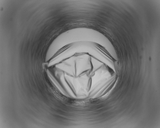 X0000062140190200601060933