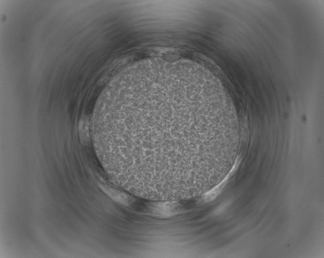 X0000062140191200601060933