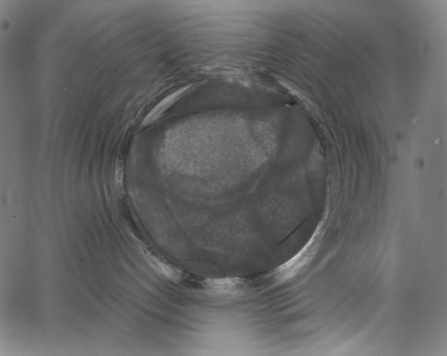 X0000062140192200601060933