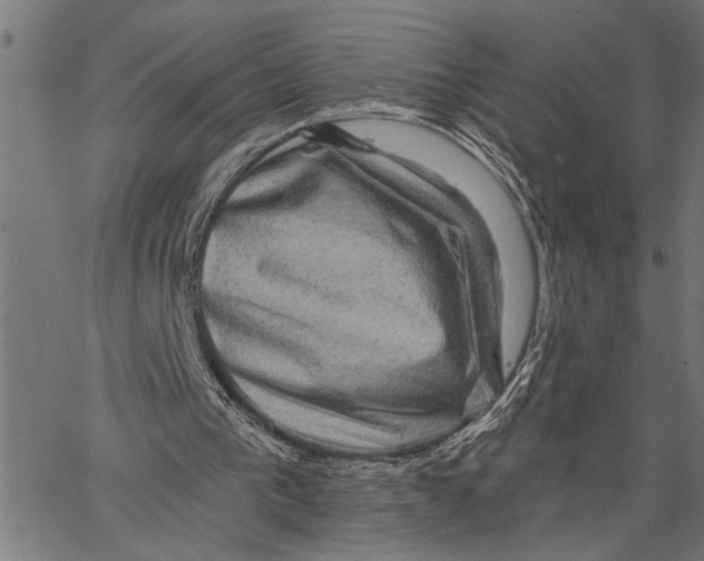 X0000062140193200601060932