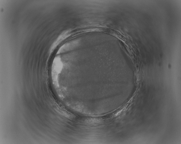 X0000062140198200601060932