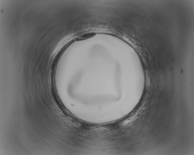 X0000062140199200601060932