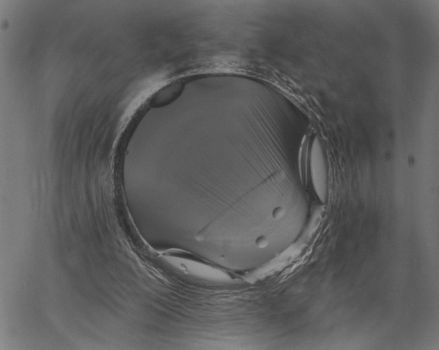 X0000062140200200601060932