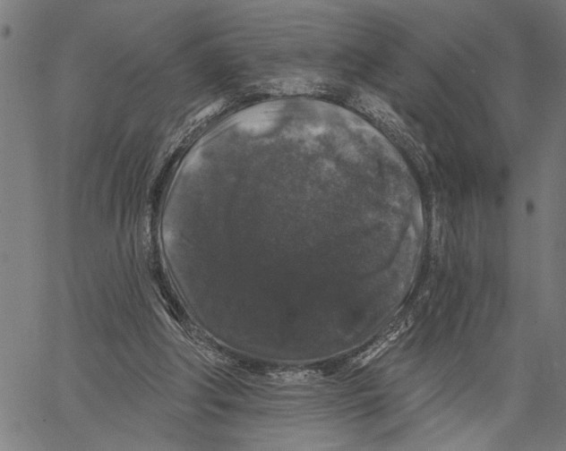 X0000062140202200601060932