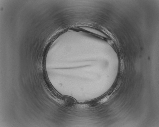 X0000062140203200601060932