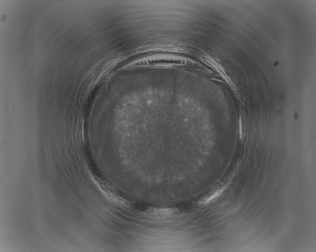 X0000062140205200601060932