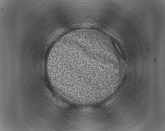 X0000062140206200601060932