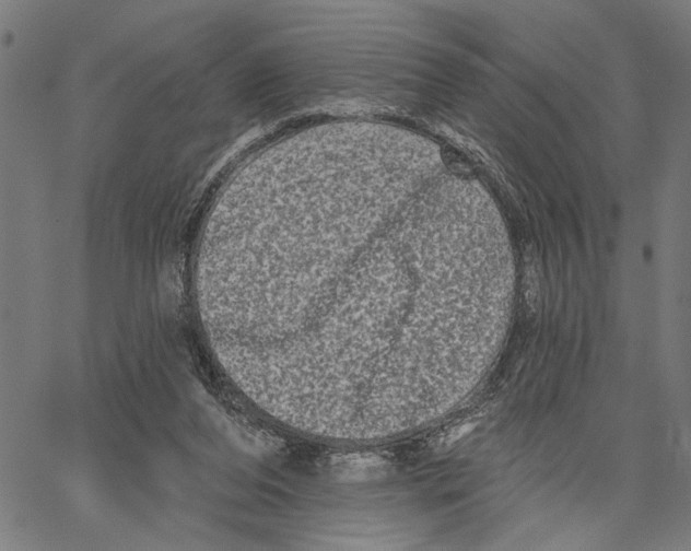 X0000062140208200601060932