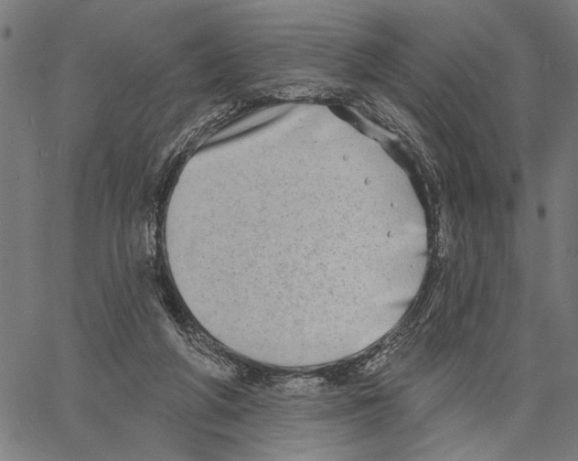 X0000062140210200601060932