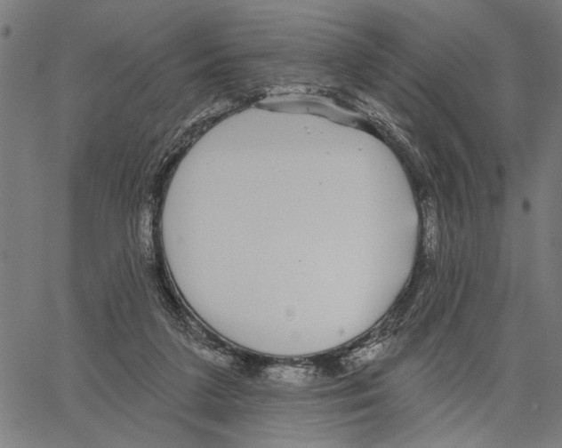 X0000062140211200601060931