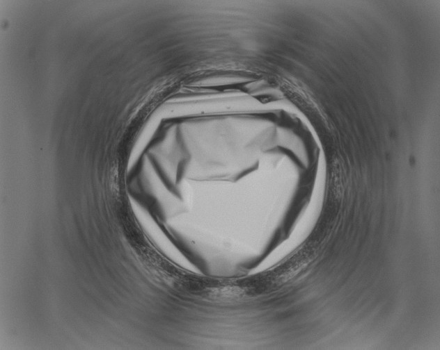 X0000062140212200601060931