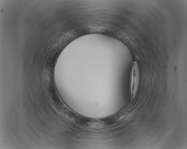 X0000062140215200601060931